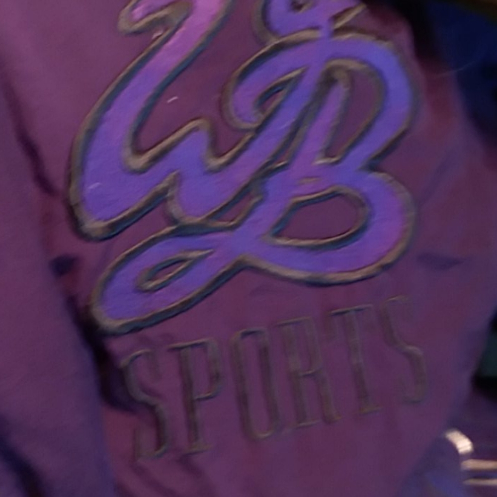 Bogner Ski Jacket - image 5